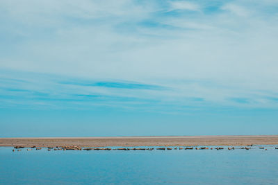 Scenic view of sea against sky