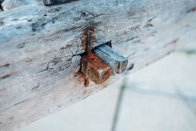 Close-up of rusty metal mounted on wood