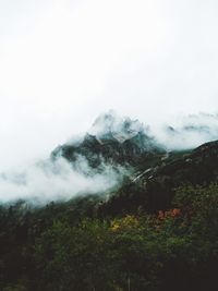 Scenic view of forest against sky