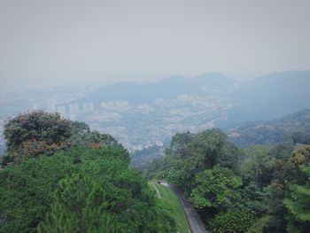 High angle view of trees on landscape against sky