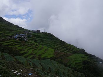 Stunning view of mount timbak in atok, benguet, philippines 