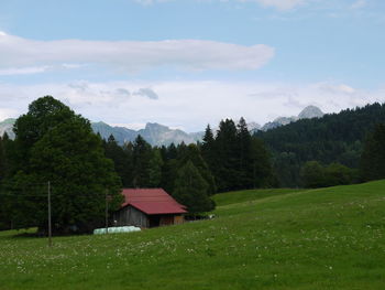 Scenic view of field by trees against sky