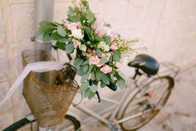 Close-up of potted plant in bicycle by white wall