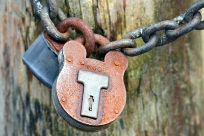 Close-up of rusty metallic locks attached to chain