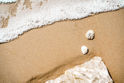 High angle view of ball on beach