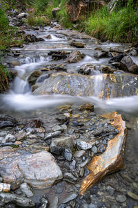 Scenic view of waterfall in forest