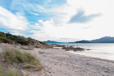 Scenic view of beach against sky