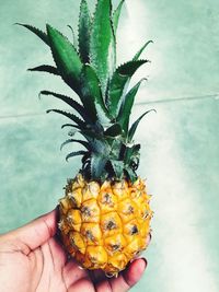 Cropped image of person holding apple