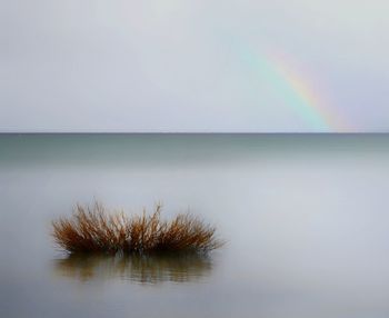 Scenic view of sea against rainbow 