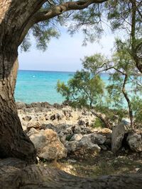 Scenic view of sea against sky