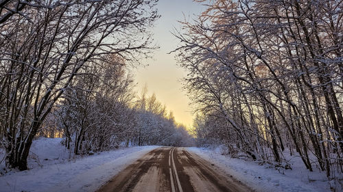 Road amidst bare trees during winter