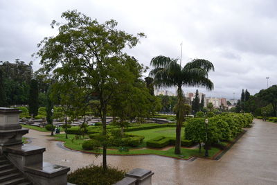 Trees in park against cloudy sky