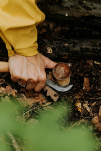 Cropped hand of woman cutting mushroom in forest