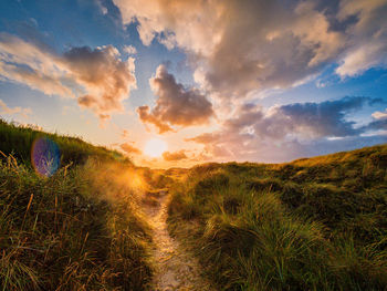 Scenic view of field against sky during sunset