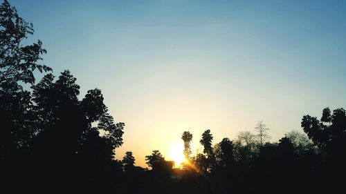 Silhouette of trees at sunset