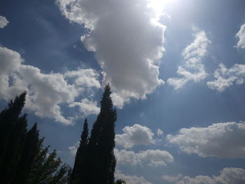 Low angle view of silhouette trees against sky