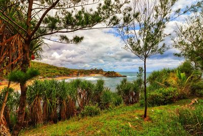 Scenic view of lake against sky