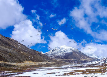 Birds flying over snowcapped mountain against sky