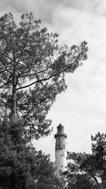 Low angle view of tree and lighthouse against sky