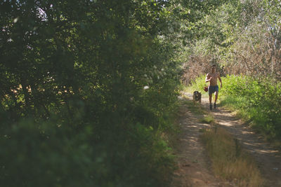 Rear view of people walking on footpath