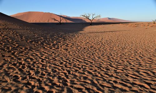 Sand dune in desert against sky