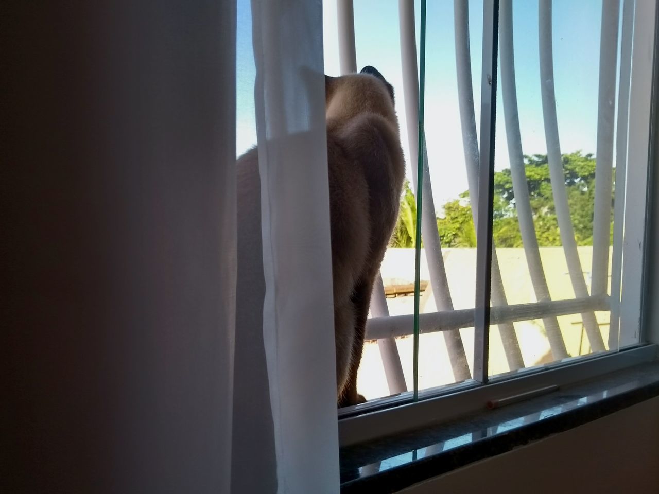 CLOSE-UP OF MAN LOOKING THROUGH WINDOW