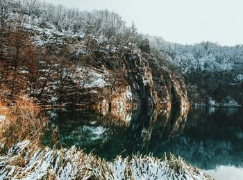 Scenic view of frozen lake in forest