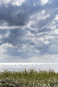 Scenic view of calm sea against blue sky