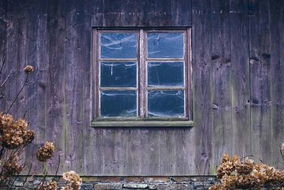 Close-up of window