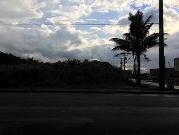 Silhouette palm trees by road against sky