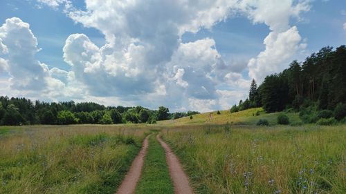 A country road among a green field against a beautiful blue sky with clouds