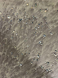 Full frame shot of sand