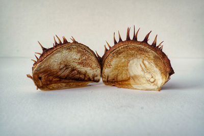 High angle view of dried fruits on table