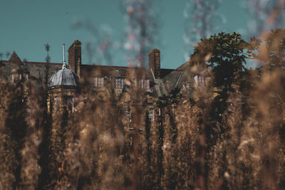 Panoramic shot of old building on field against sky