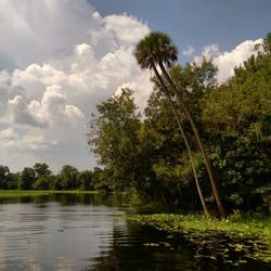 Scenic view of lake in forest against sky