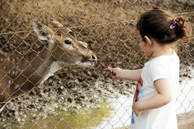 Full length of girl with arms raised in zoo