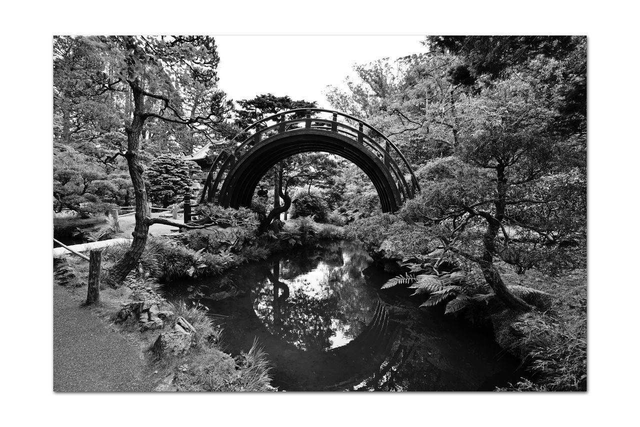 ARCH BRIDGE AMIDST TREES AGAINST SKY