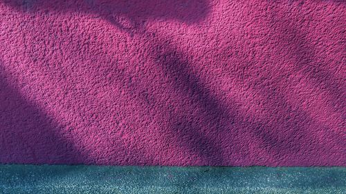 High angle view of pink petals on wall