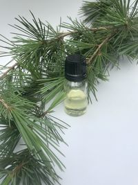Close-up of glass bottle on table