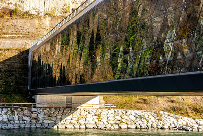 View of bridge in forest