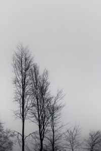 Low angle view of bare trees against clear sky