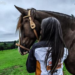 Horse standing in a farm