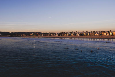 View of birds swimming in sea against sky