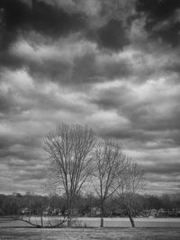 Silhouette of trees against cloudy sky