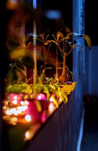 Close-up of illuminated lighting equipment on glass window at night