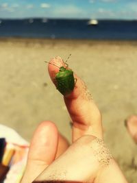 Close-up of woman hand on beach