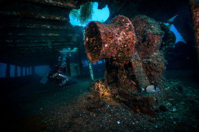 View of shipwreck underwater