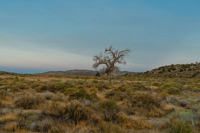 Scenic view of land against sky