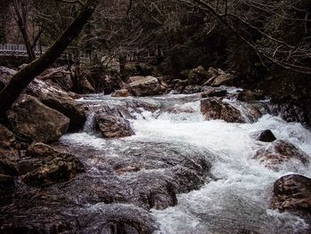 Close-up of frozen tree against sky