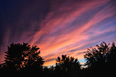 Low angle view of silhouette trees against dramatic sky